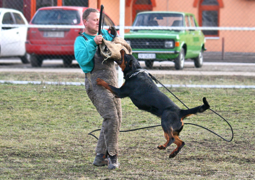 Fantasy von Kelemen Fantasy von Kelemen